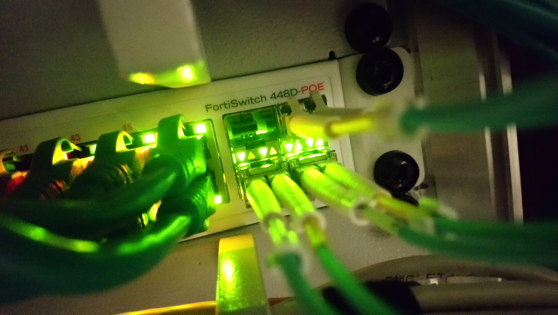 Detailaufnahme eines Netzwerkswitches mit angeschlossenen Netzwerkkabeln